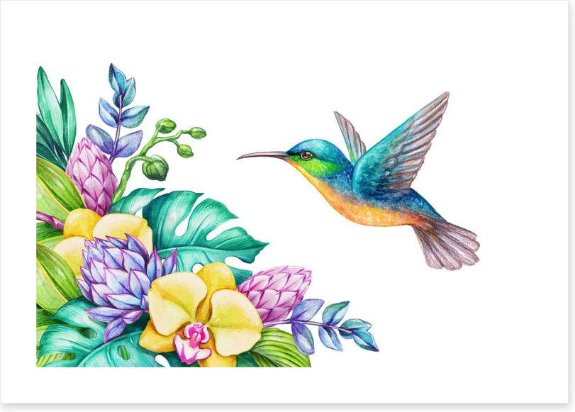 Yellow orchid hummingbird