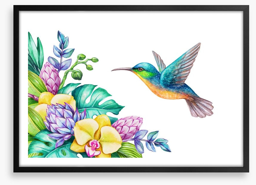 Yellow orchid hummingbird