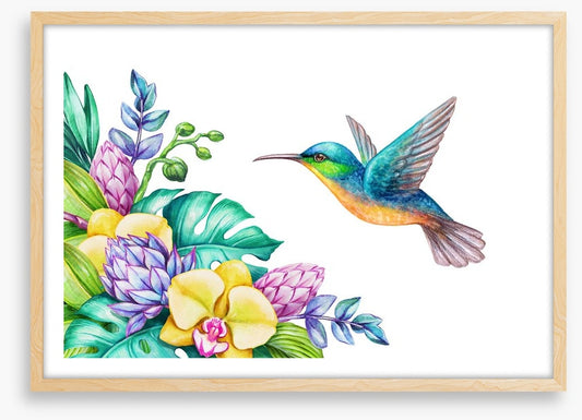 Yellow orchid hummingbird