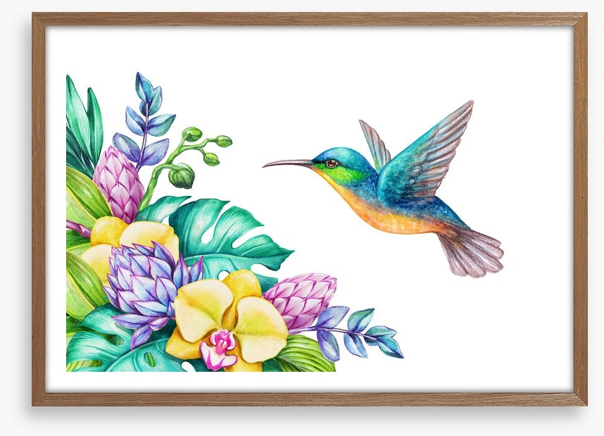 Yellow orchid hummingbird