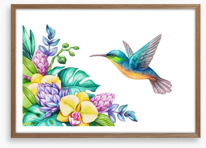 Yellow orchid hummingbird