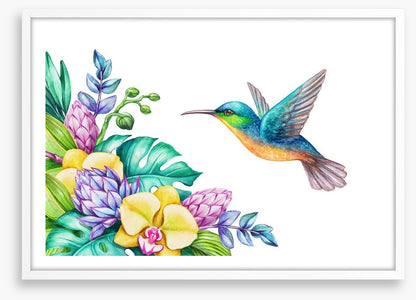 Yellow orchid hummingbird