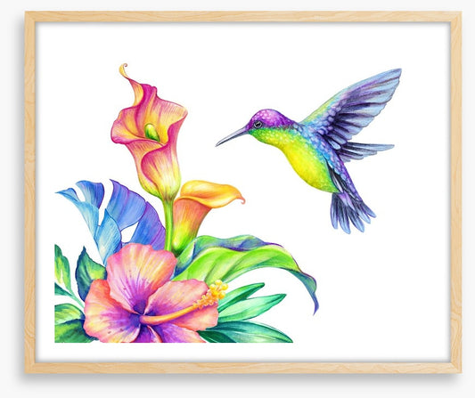 Flight of fancy