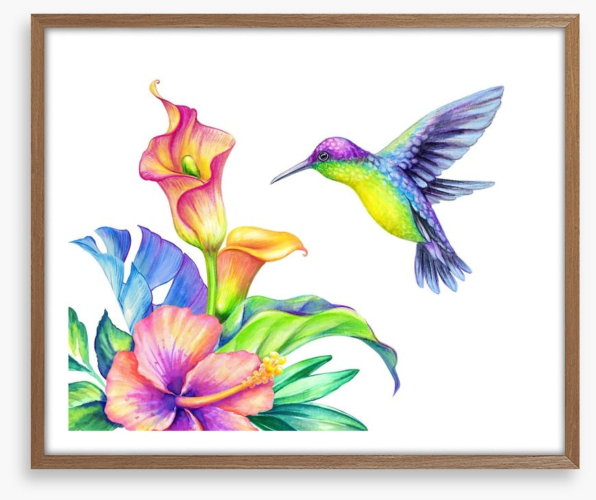Flight of fancy