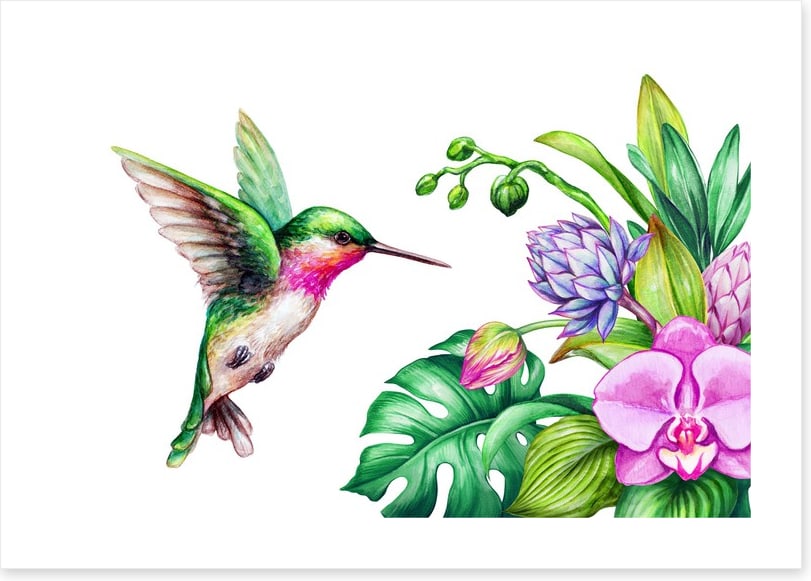 Pink orchid hummingbird