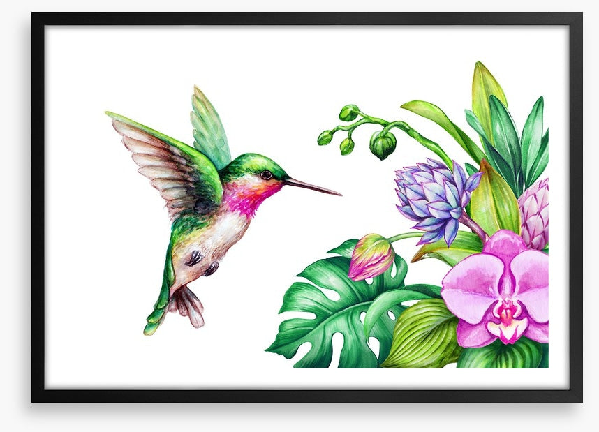 Pink orchid hummingbird