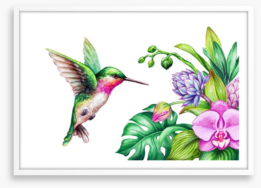 Pink orchid hummingbird