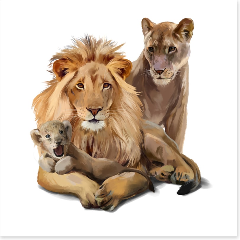 Cub makes three