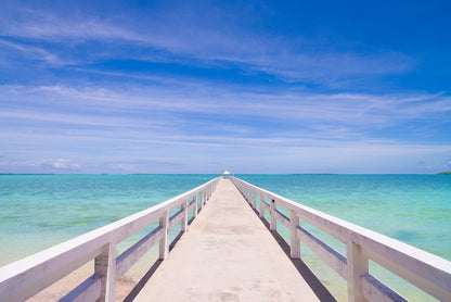 Bridge to the blue