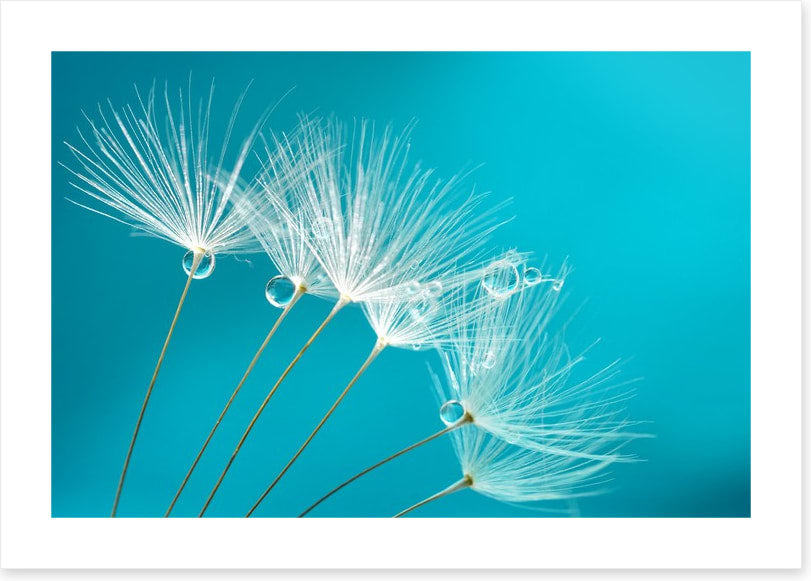 Turquoise droplets