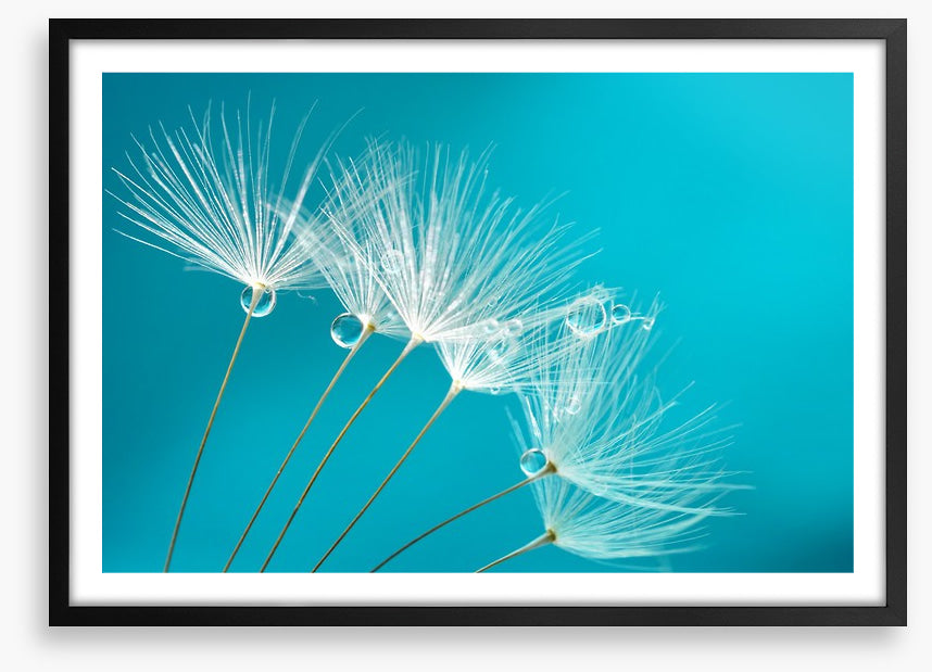 Turquoise droplets