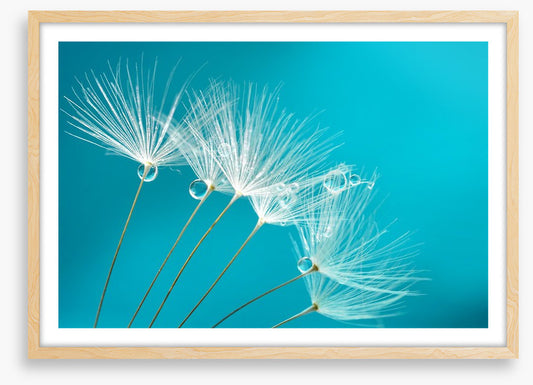 Turquoise droplets