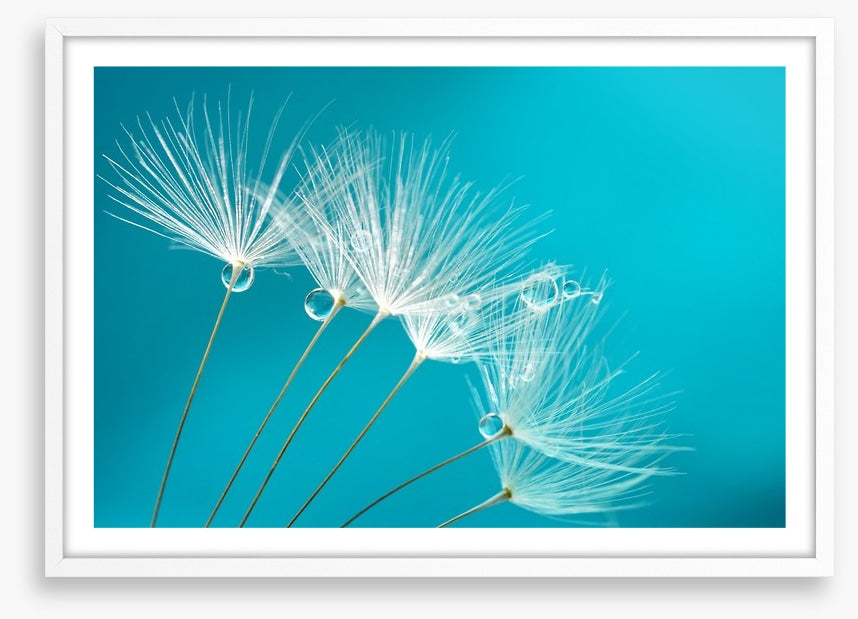 Turquoise droplets
