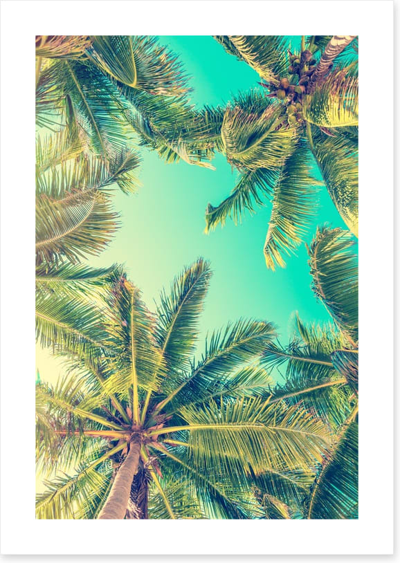 Under a summer sky