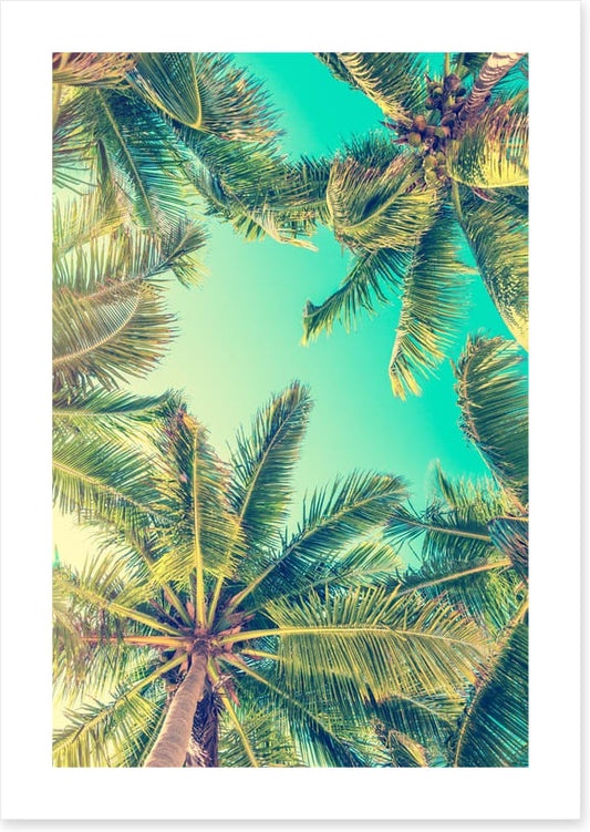 Under a summer sky