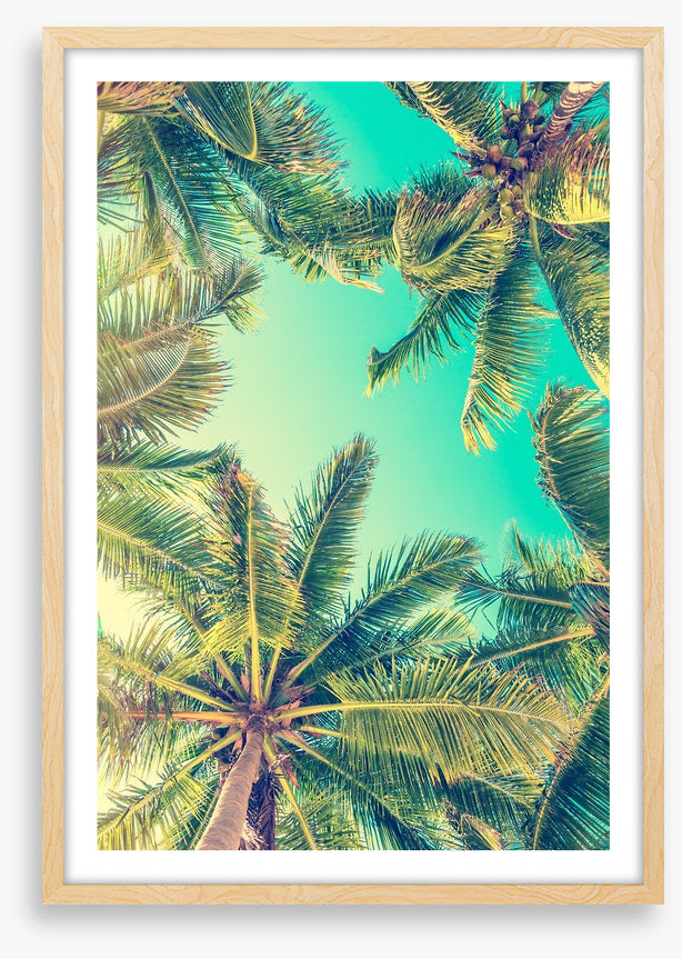 Under a summer sky