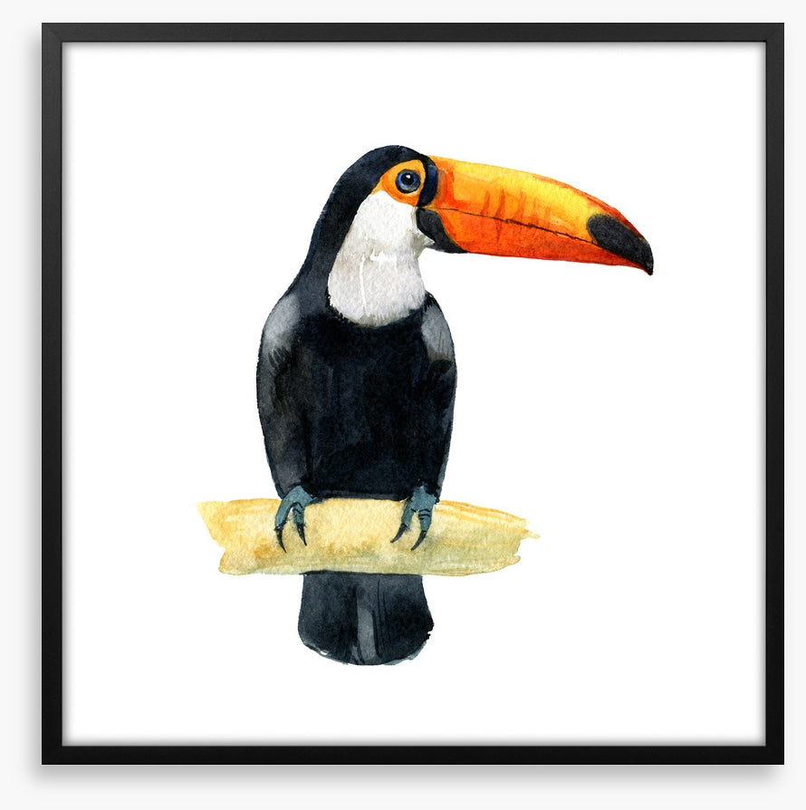 One toucan