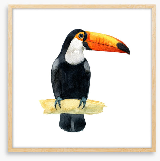 One toucan