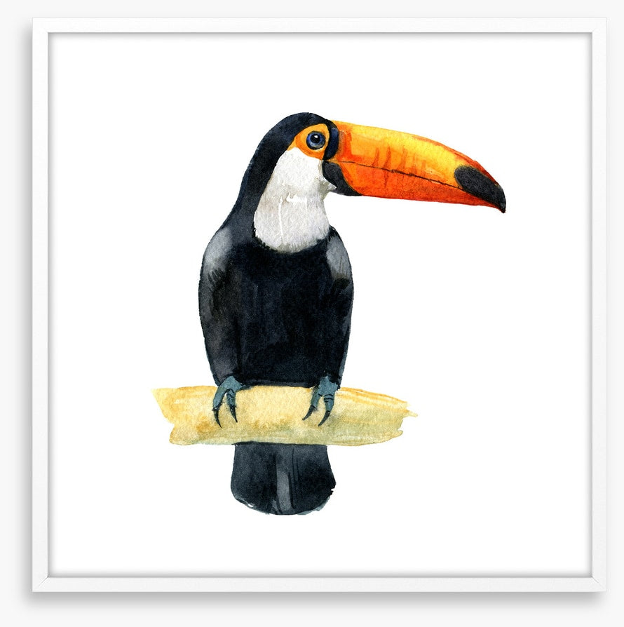 One toucan