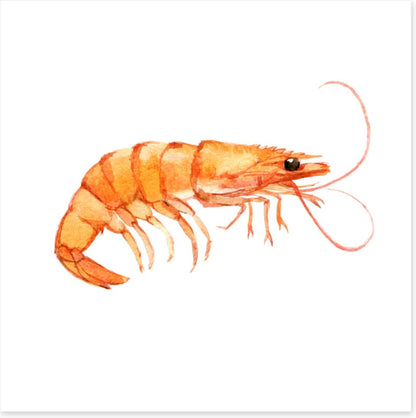 Single shrimp