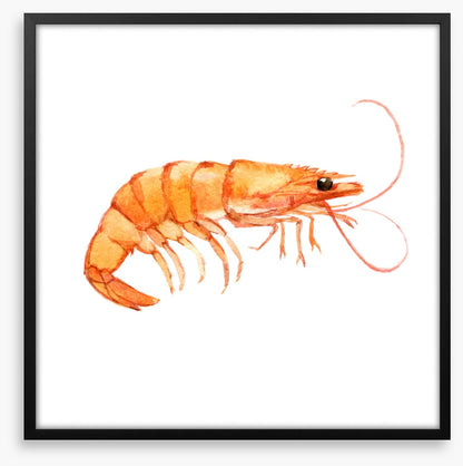 Single shrimp
