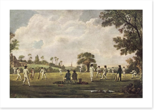 Cricket on the green