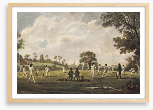 Cricket on the green