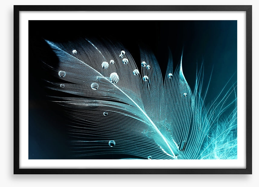 Blue feather droplets