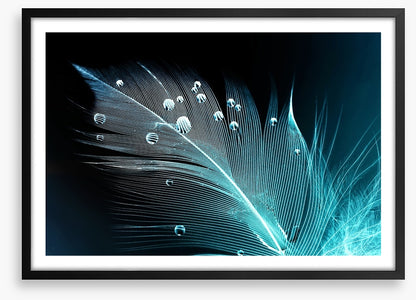 Blue feather droplets