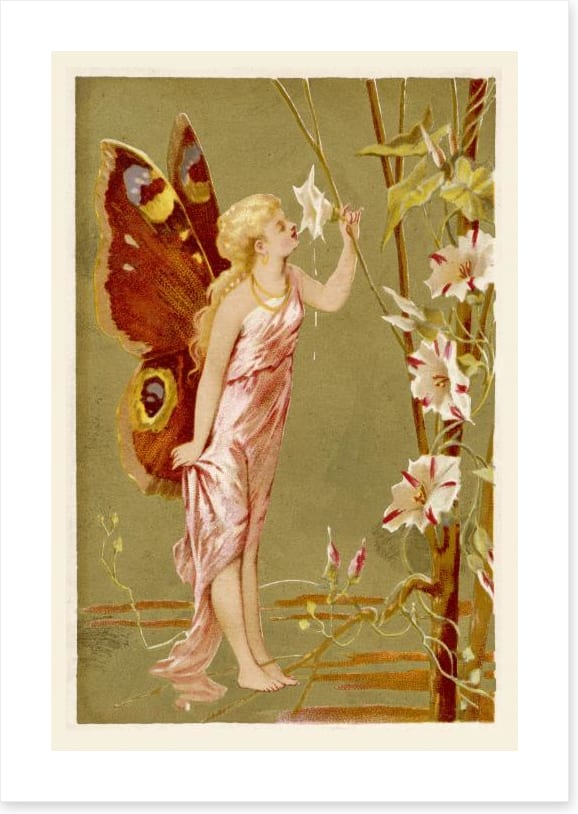 The flower faerie