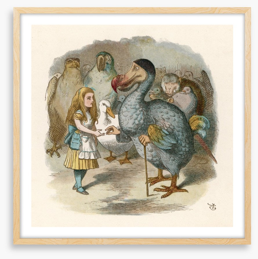 Alice meets the dodo