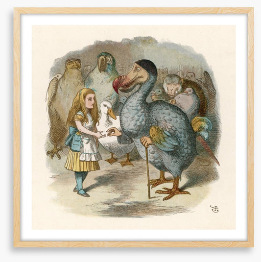 Alice meets the dodo