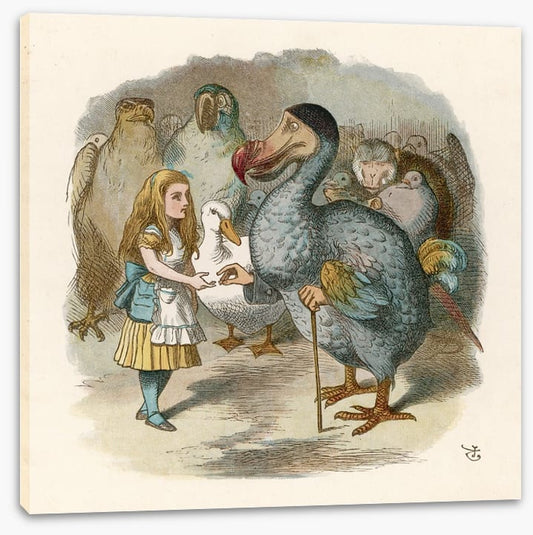 Alice meets the dodo