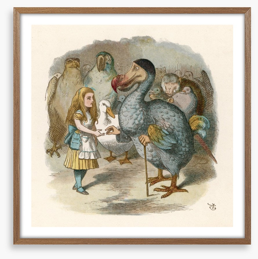Alice meets the dodo