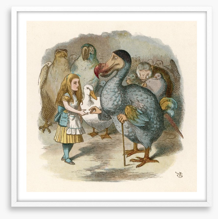 Alice meets the dodo