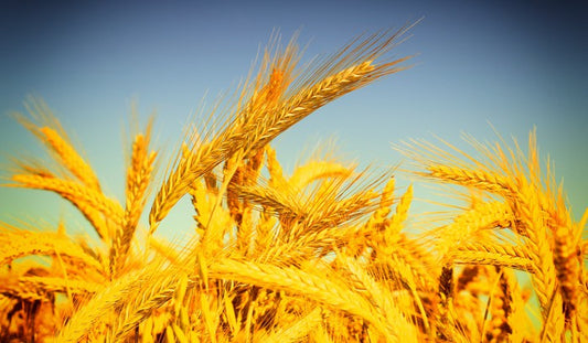 Agriculture