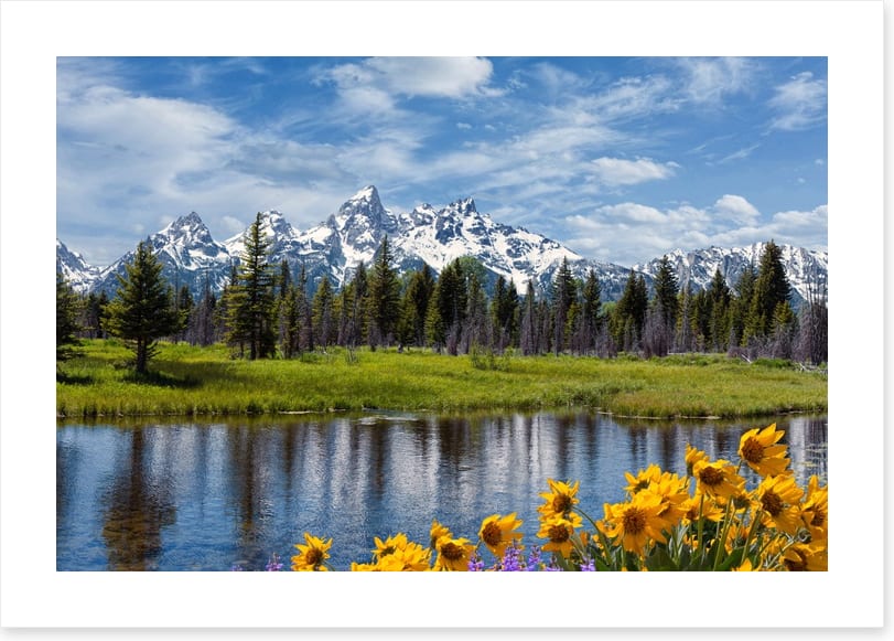 Grand Teton wilderness