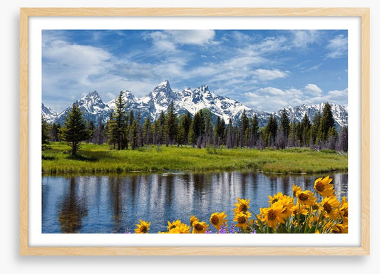 Grand Teton wilderness
