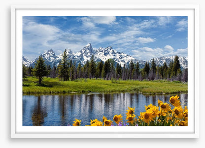 Grand Teton wilderness