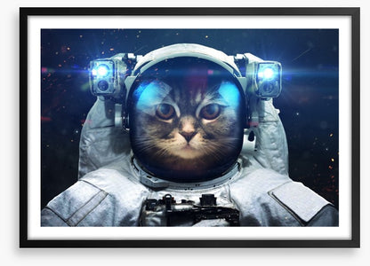 Space cat