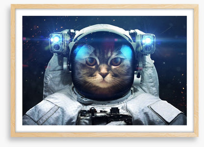 Space cat