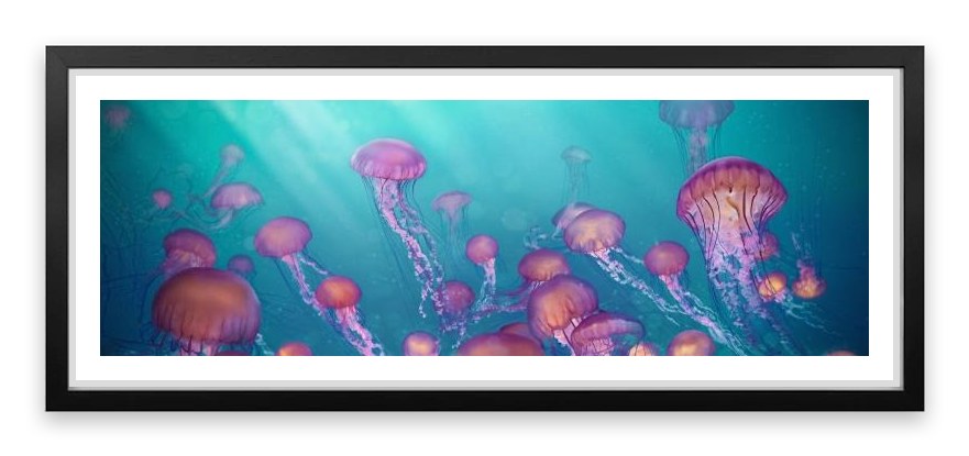 Jellyfish joy panorama