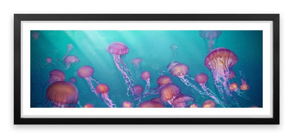 Jellyfish joy panorama