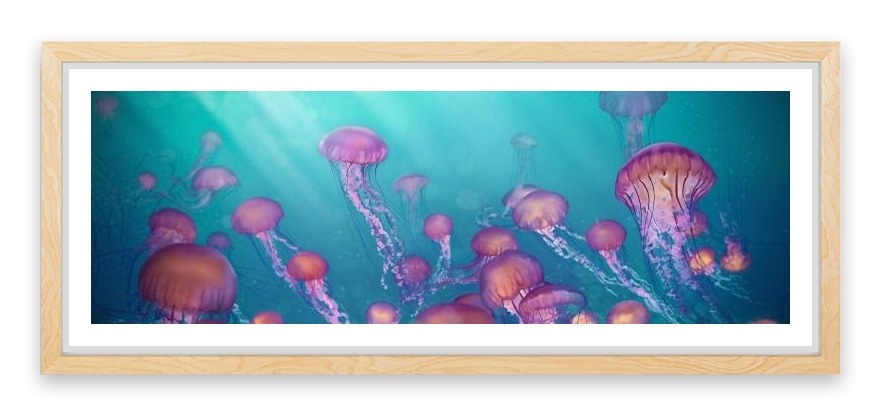 Jellyfish joy panorama
