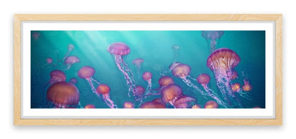 Jellyfish joy panorama