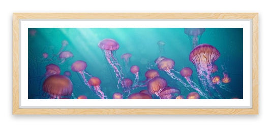 Jellyfish joy panorama