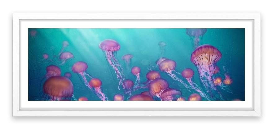 Jellyfish joy panorama
