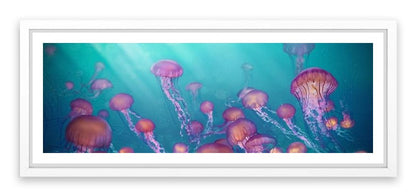 Jellyfish joy panorama