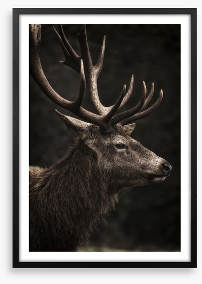 Stag night