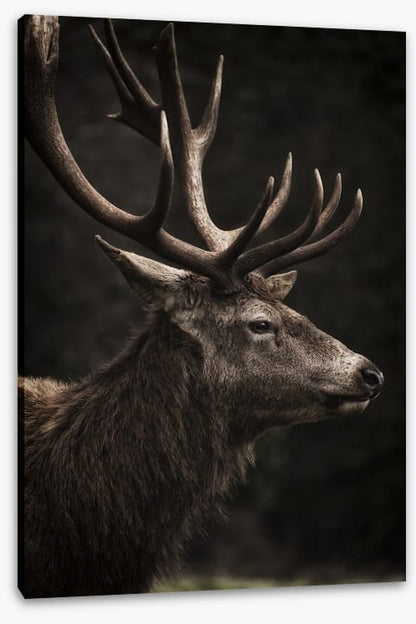 Stag night